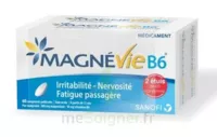 Magnevie B6 100 Mg/10 Mg Comprimés Pelliculés 2plq/60 (120) à AMBARÈS-ET-LAGRAVE
