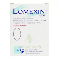 Lomexin 600 Mg Caps Molle Vaginale Plq/1 à AMBARÈS-ET-LAGRAVE